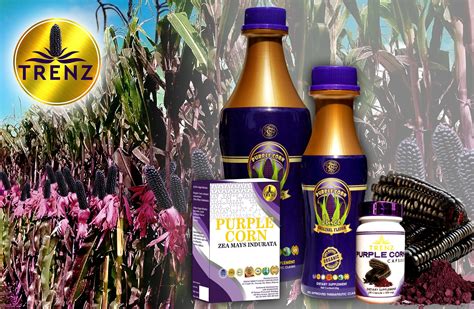 antioxidant in tagalog|Ang Papel ng Antioxidants sa Pag.